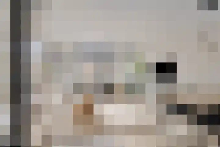 Zeis 13 Brielle thumbnail 9