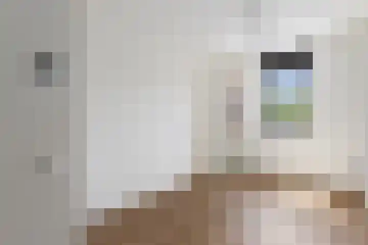 Zeis 21 't Zand thumbnail 36