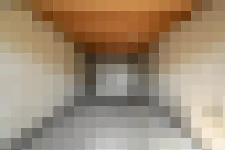 Zeis 31 Wieringerwerf thumbnail 26