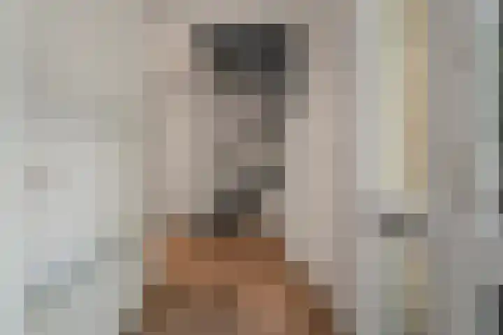 Zeis 31 Wieringerwerf thumbnail 6