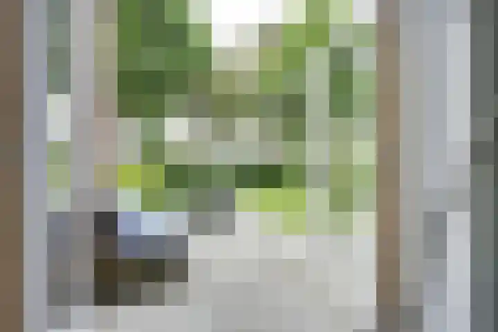 Zeister Eng 122 Zeist thumbnail 14