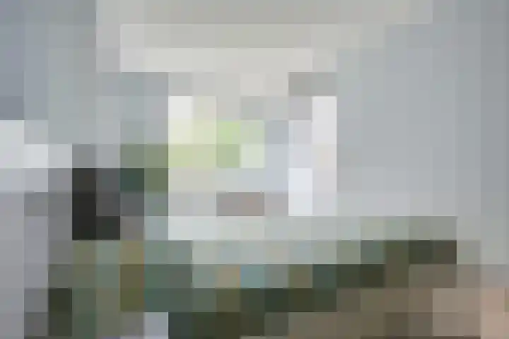 Zeister Eng 122 Zeist thumbnail 23