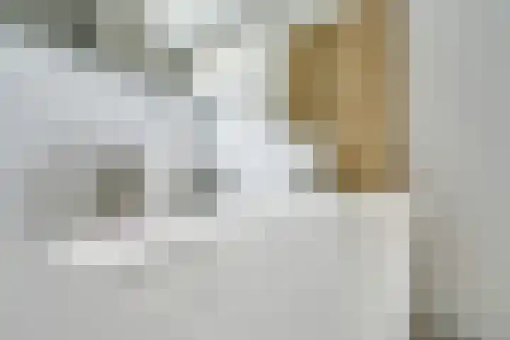 Zeister Eng 122 Zeist thumbnail 26