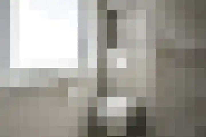 Zeister Eng 122 Zeist thumbnail 27