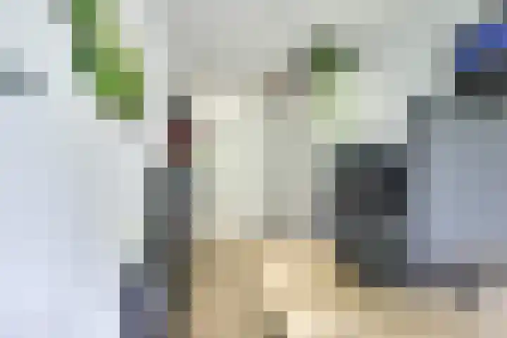 Zeister Eng 122 Zeist thumbnail 34