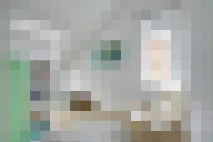 Zeister Eng 122 Zeist thumbnail 35