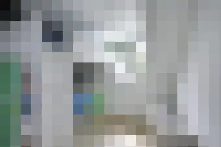 Zeister Eng 122 Zeist thumbnail 36