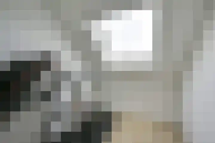 Zeister Eng 122 Zeist thumbnail 41