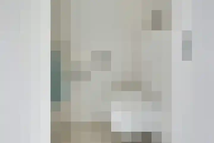 Zeister Eng 122 Zeist thumbnail 42