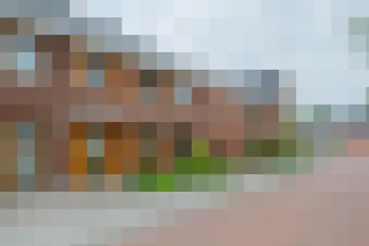 Zeister Eng 122 Zeist thumbnail 43