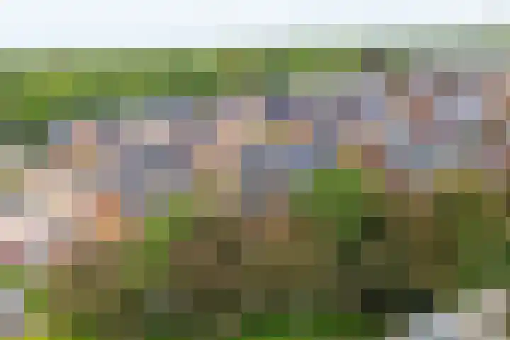 Zeister Eng 122 Zeist thumbnail 49