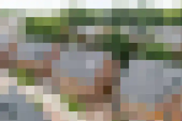 Zeister Eng 122 Zeist thumbnail 50