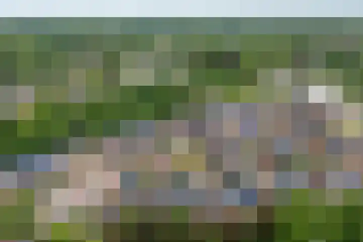 Zeister Eng 122 Zeist thumbnail 51