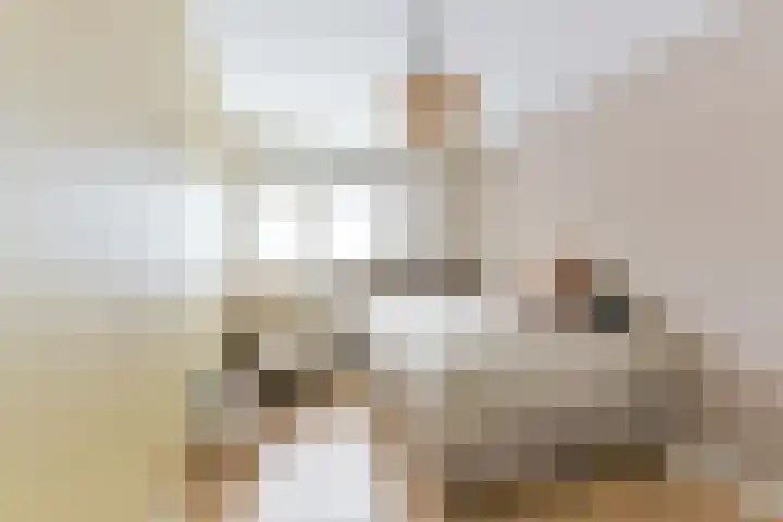 Zeisterweg 75 Odijk thumbnail 34