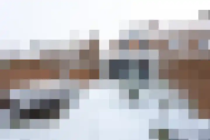 Zeisterweg 75 Odijk thumbnail 8