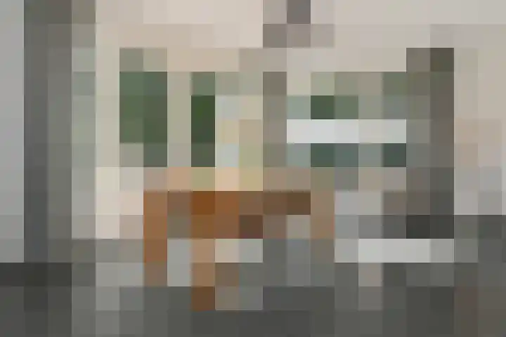 Zelen 5 Panningen thumbnail 12