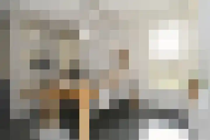 Zelen 5 Panningen thumbnail 14