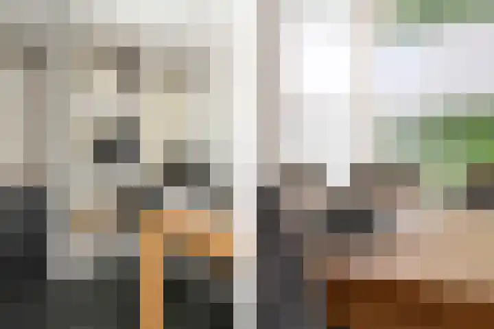 Zelen 5 Panningen thumbnail 16