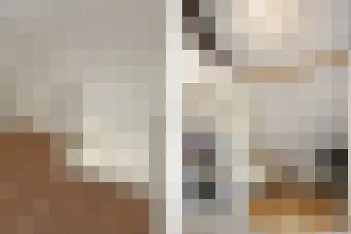 Zelen 5 Panningen thumbnail 28