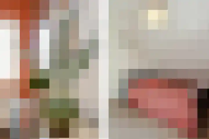 Zelen 5 Panningen thumbnail 33