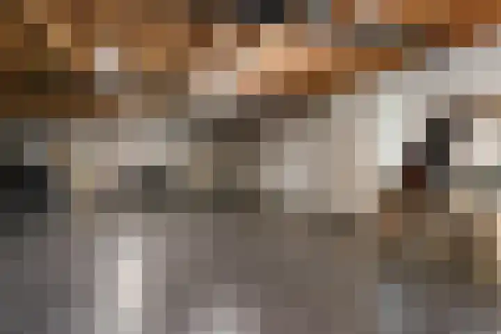 Zelen 5 Panningen thumbnail 35