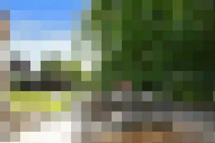Zelen 5 Panningen thumbnail 37