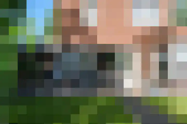 Zelen 5 Panningen thumbnail 38