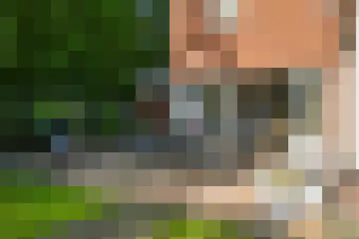 Zelen 5 Panningen thumbnail 39