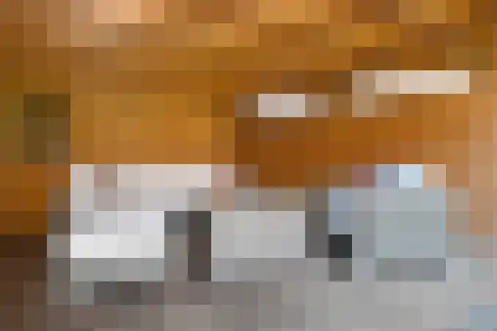 Zelen 5 Panningen thumbnail 43