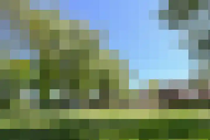 Zelen 5 Panningen thumbnail 46