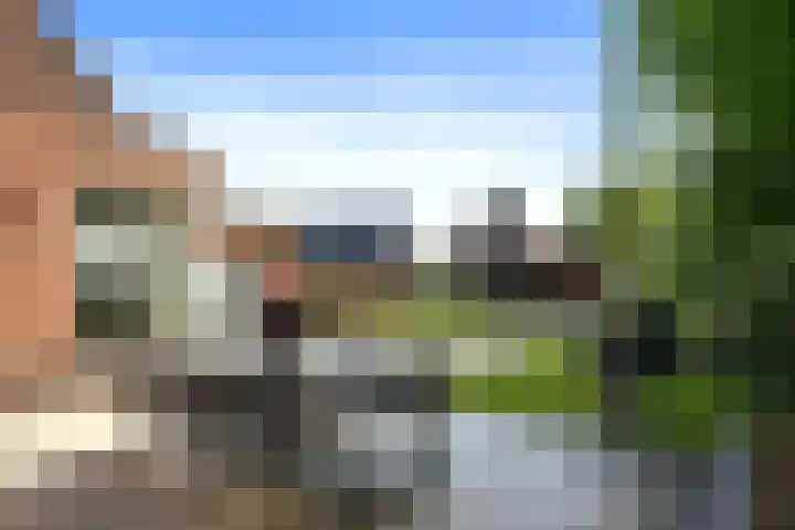 Zelen 5 Panningen thumbnail 5