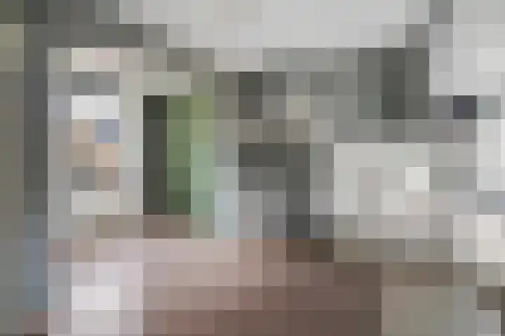 Zelkweg 7 Dodewaard thumbnail 19