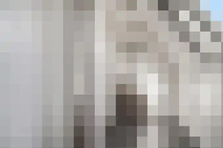 Zelkweg 7 Dodewaard thumbnail 36