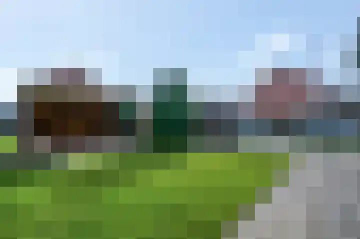 Zelkweg 7 Dodewaard thumbnail 45