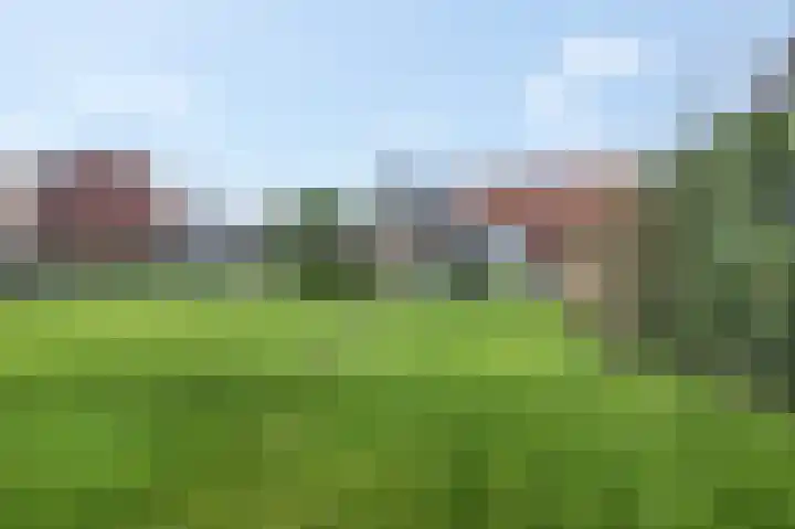 Zelkweg 7 Dodewaard thumbnail 48