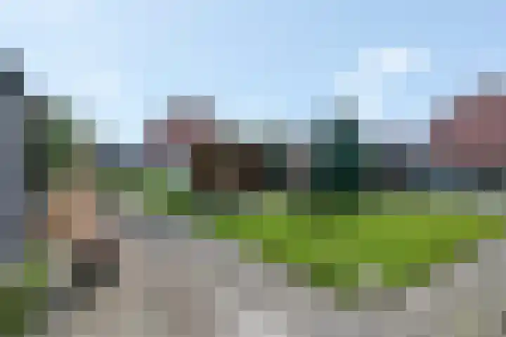 Zelkweg 7 Dodewaard thumbnail 49