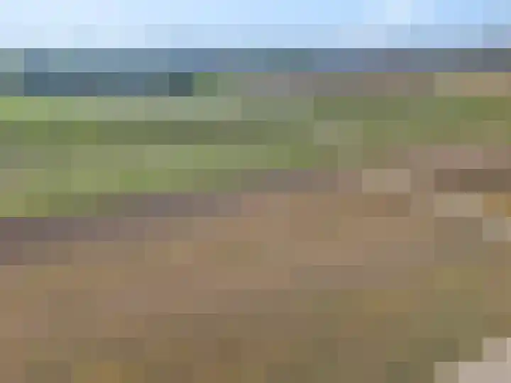 Zelkweg 7 Dodewaard thumbnail 53