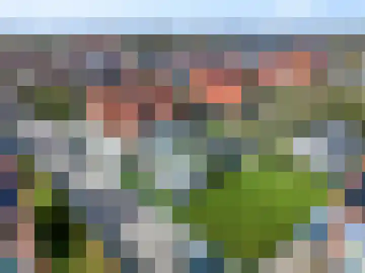Zelkweg 7 Dodewaard thumbnail 8