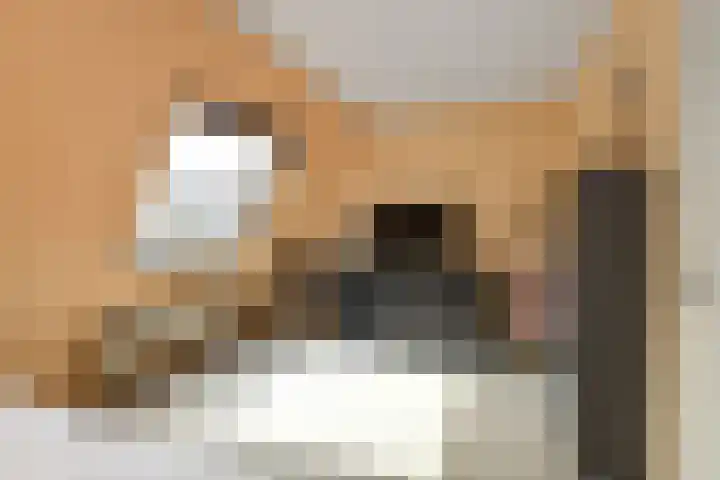 Zellersacker 2120 Nijmegen thumbnail 21