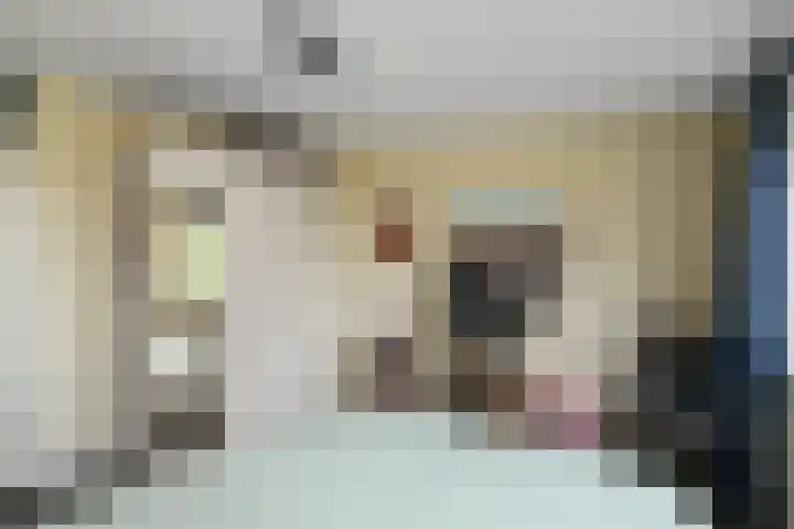 Zellersacker 2120 Nijmegen thumbnail 25
