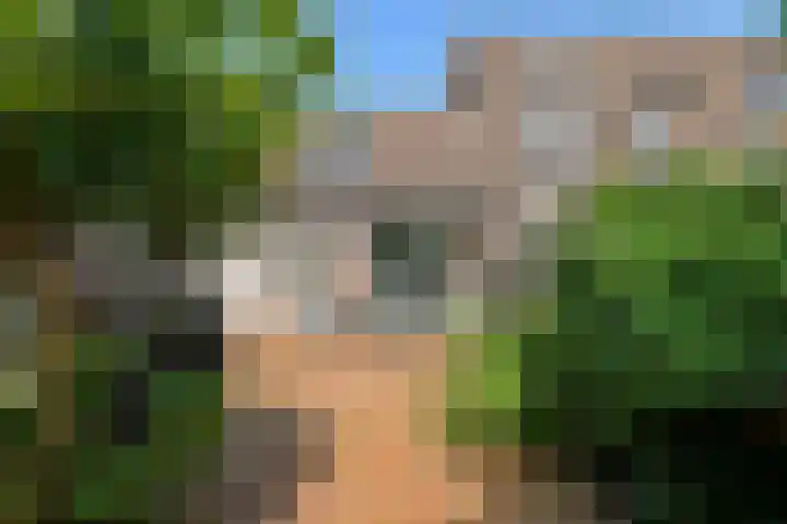 Zellersacker 2120 Nijmegen thumbnail 36