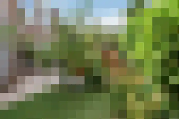 Zellersacker 2120 Nijmegen thumbnail 4