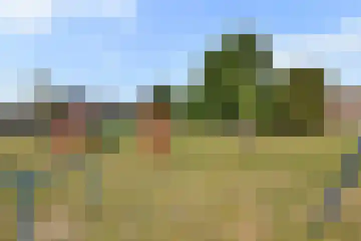 Zellersacker 2120 Nijmegen thumbnail 40