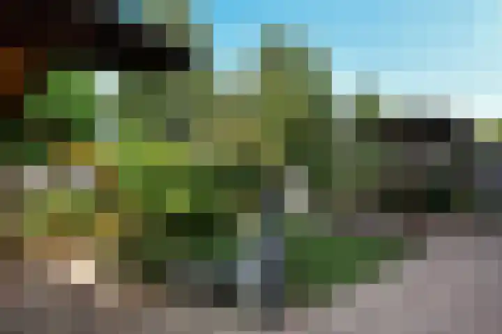 Zellersacker 2120 Nijmegen thumbnail 42