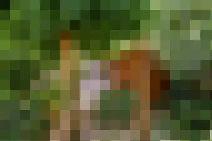 Zellersacker 2120 Nijmegen thumbnail 43