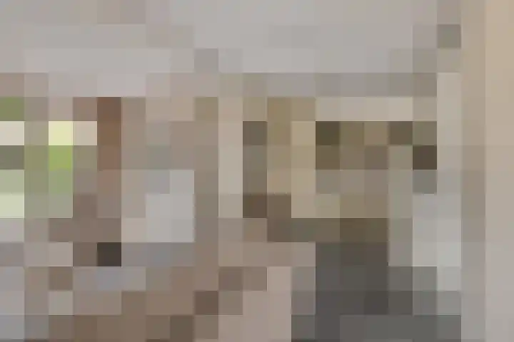 Zellingkade 36 Gouderak thumbnail 11
