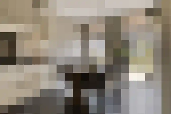 Zellingkade 36 Gouderak thumbnail 15