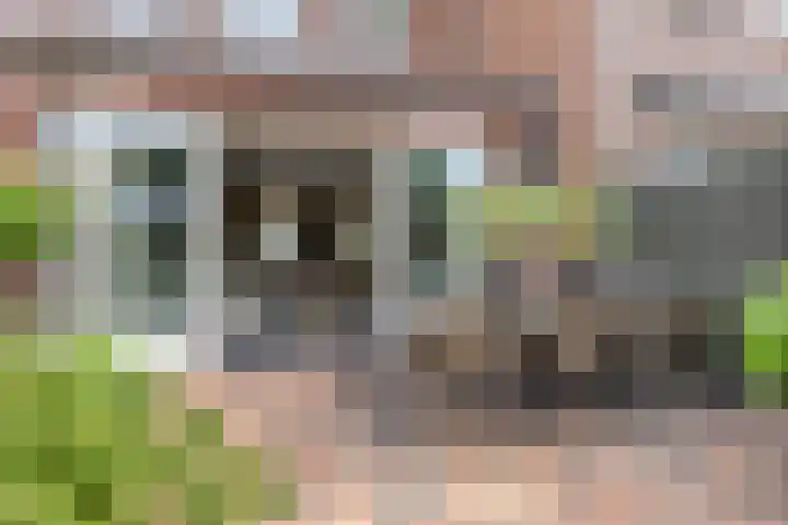 Zellingkade 36 Gouderak thumbnail 21