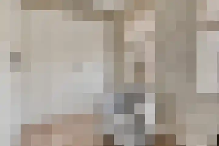 Zellingkade 36 Gouderak thumbnail 34