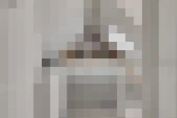 Zellingkade 36 Gouderak thumbnail 37